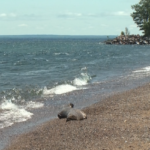 MDHHS recommends Michiganders to avoid foam on waterbodies